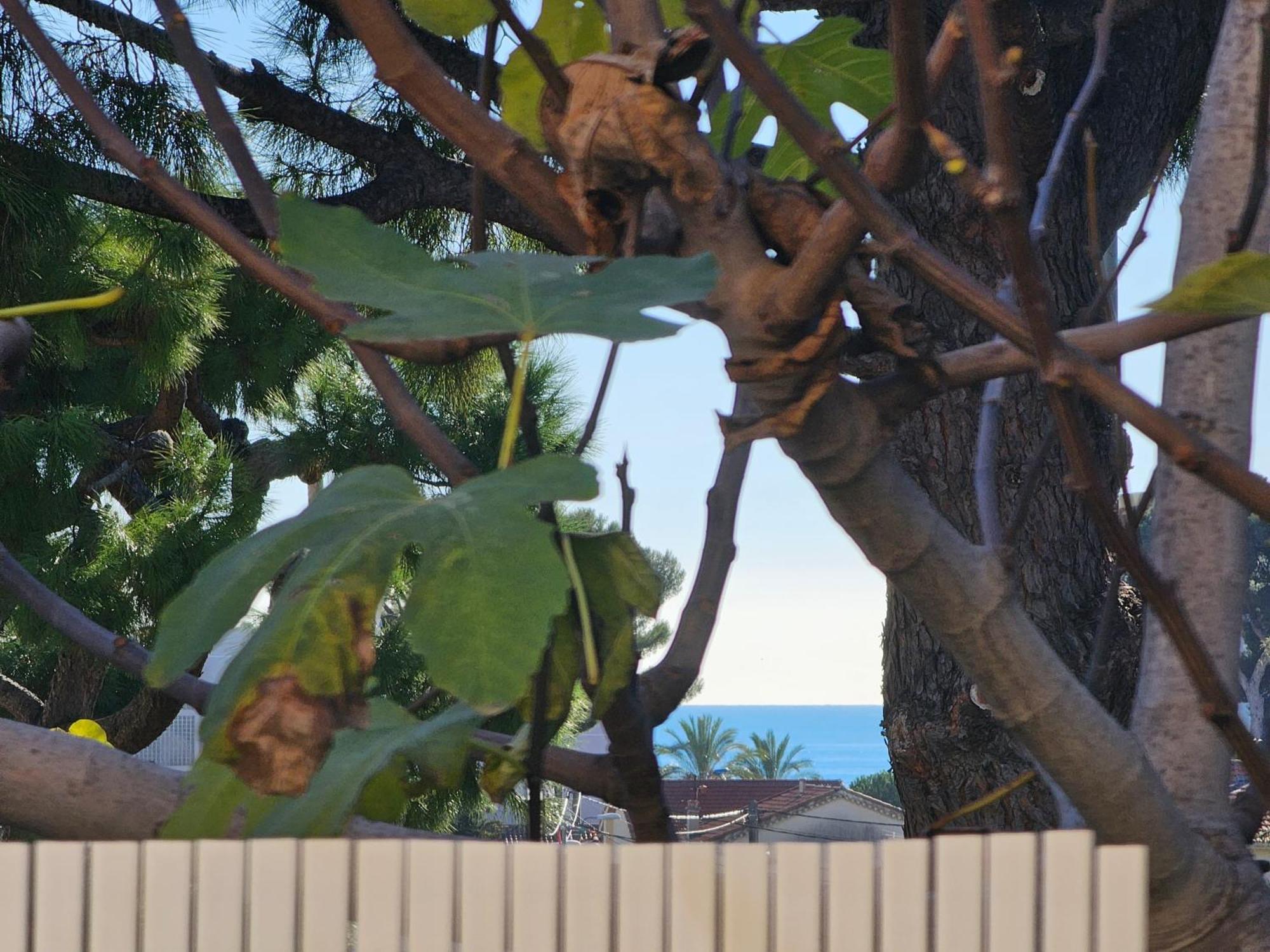 Detente Oceane S2 Proche De La Mer Wifi Clim Cagnes-sur-Mer Ngoại thất bức ảnh