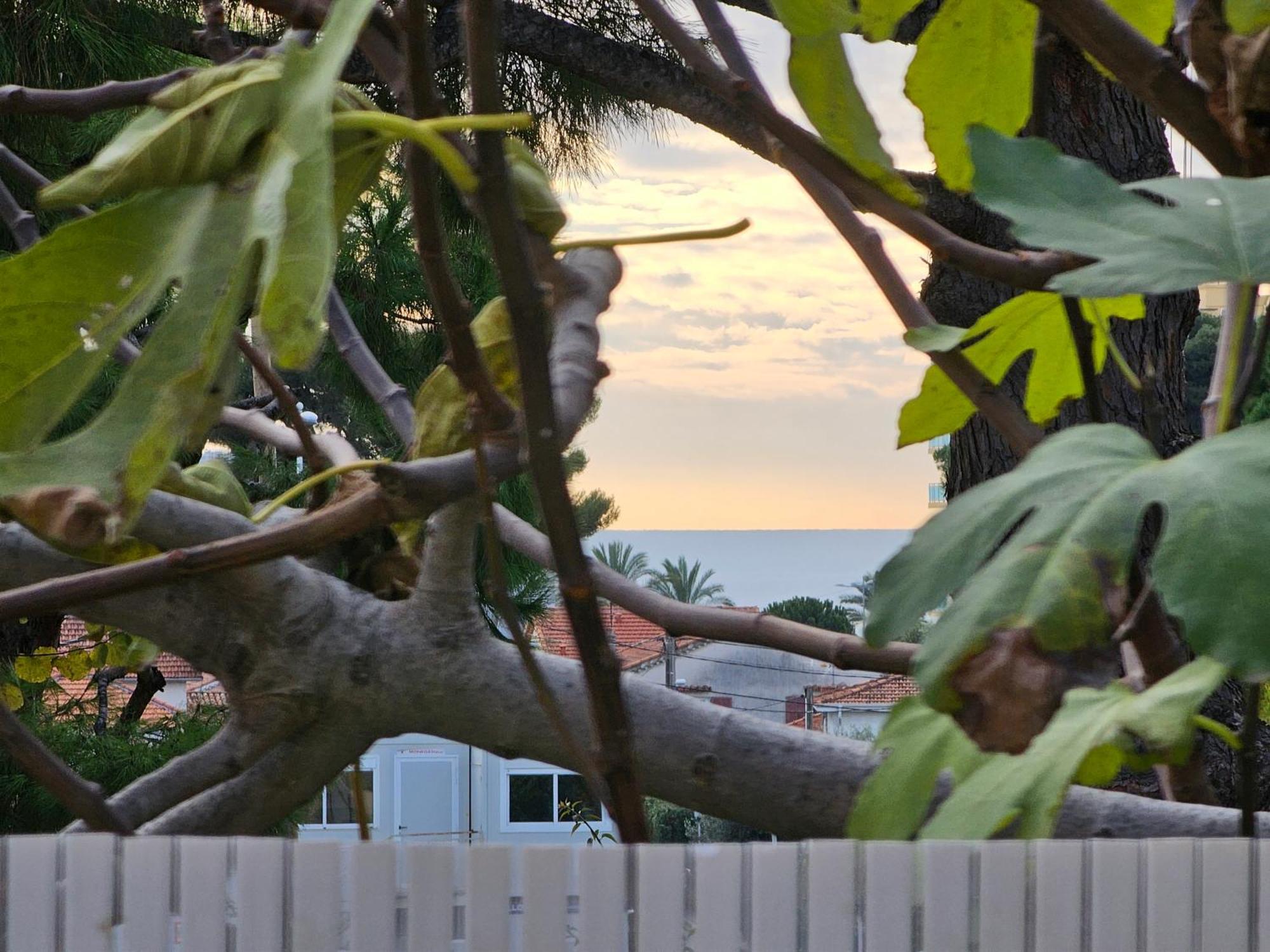 Detente Oceane S2 Proche De La Mer Wifi Clim Cagnes-sur-Mer Ngoại thất bức ảnh